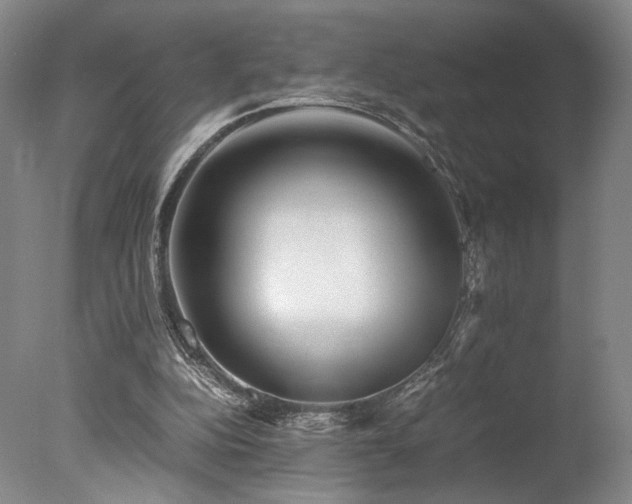 X0000078000152200610271145