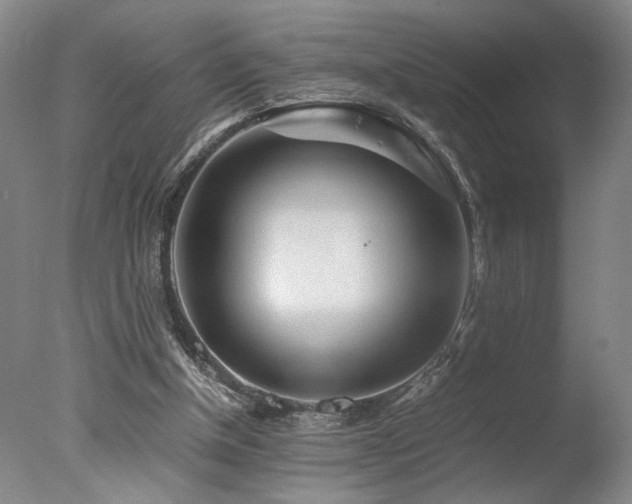 X0000078000154200610271145
