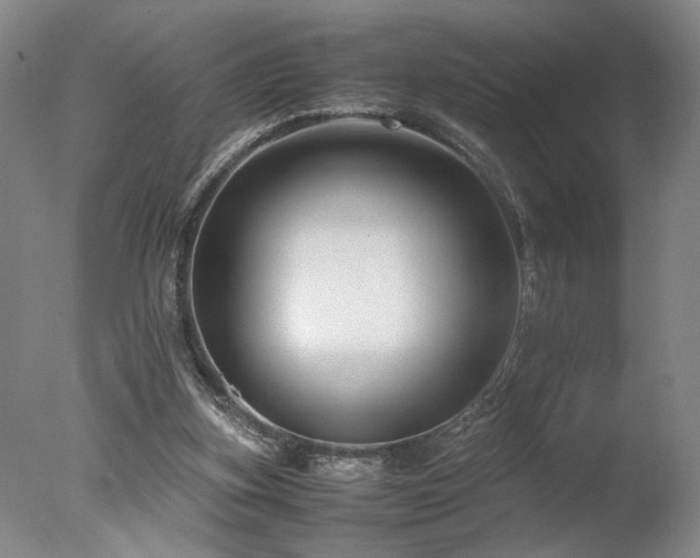 X0000078000155200610271145