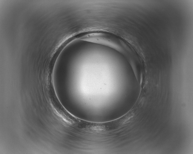 X0000078000156200610271145