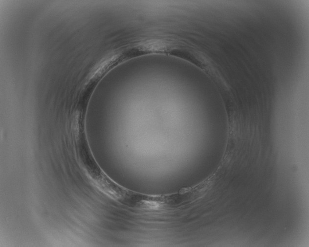 X0000078000167200610271146