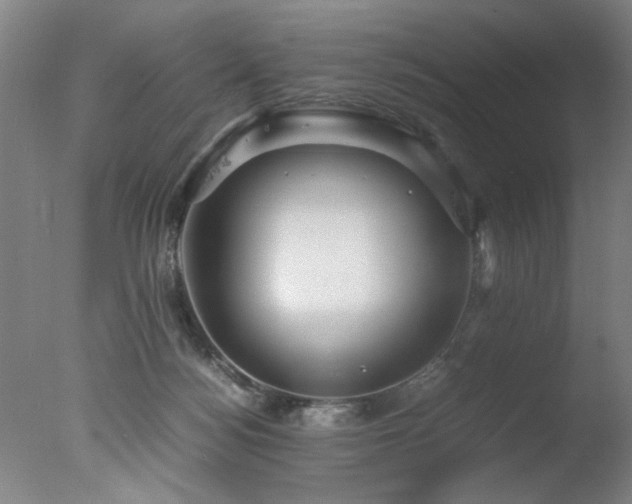 X0000078000172200610271146
