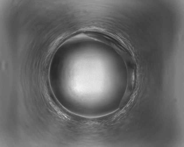 X0000078000193200610271145