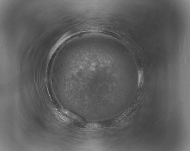 X0000078000195200610271145