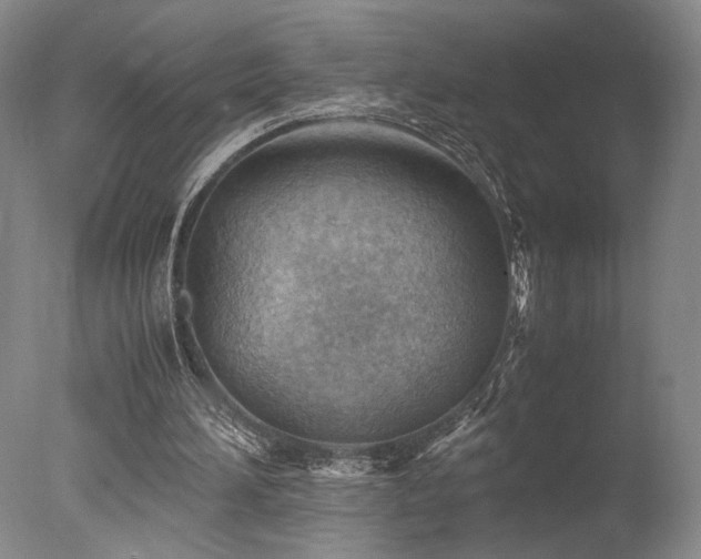 X0000078000196200610271145