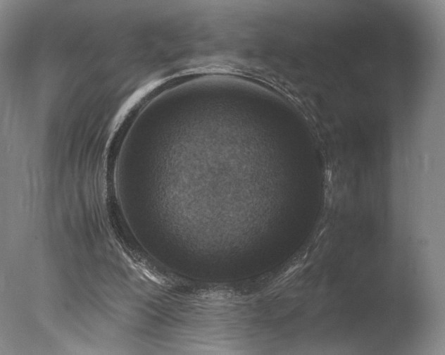 X0000078000200200610271145