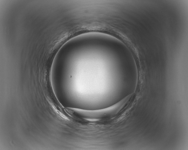 X0000078000201200610271145