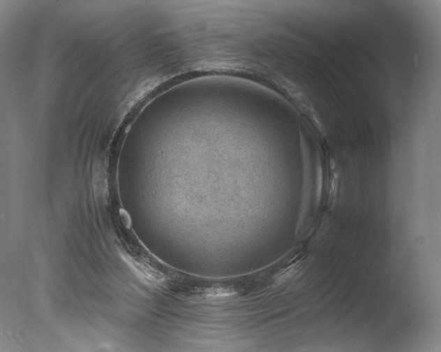 X0000078000204200610271145