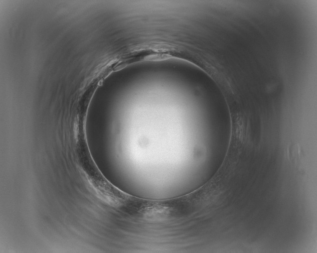 X0000078000206200610271145