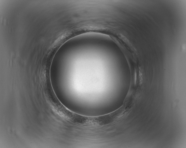 X0000078000207200610271145