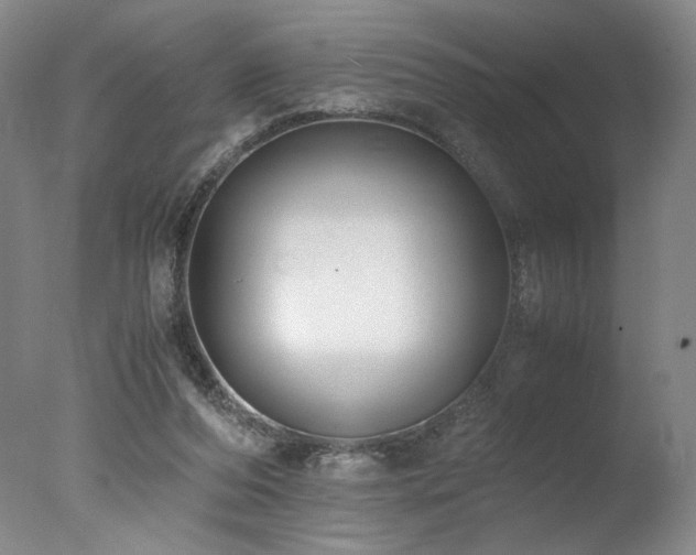 X0000078000208200610271145