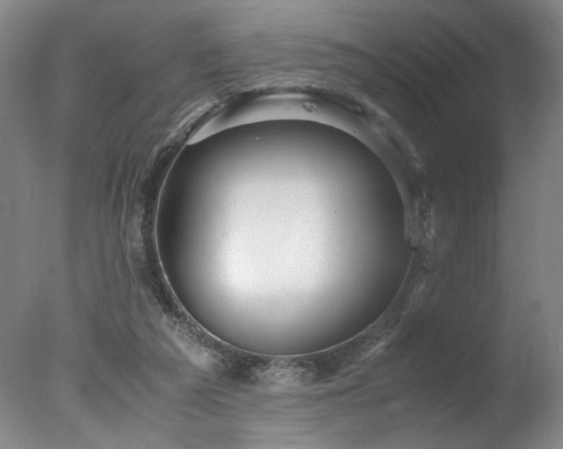 X0000078000209200610271145