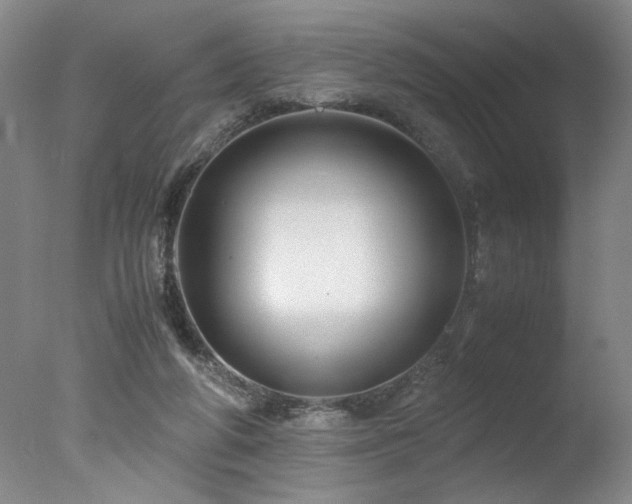 X0000078000210200610271145
