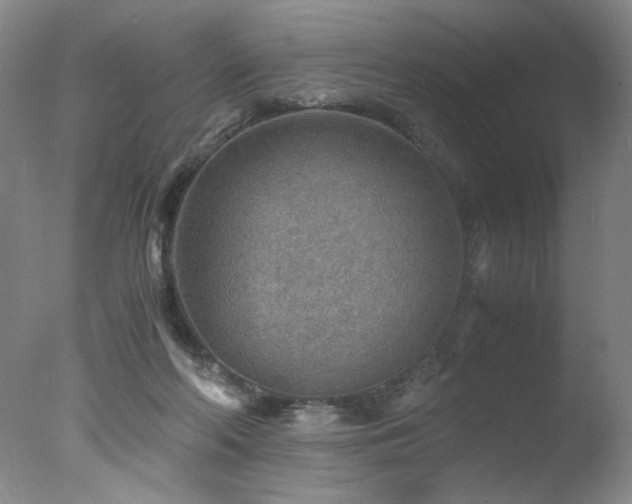 X0000078000214200610271145