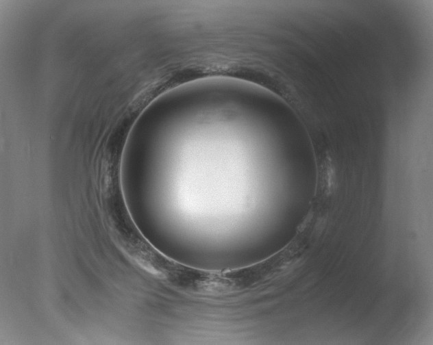 X0000078000215200610271145