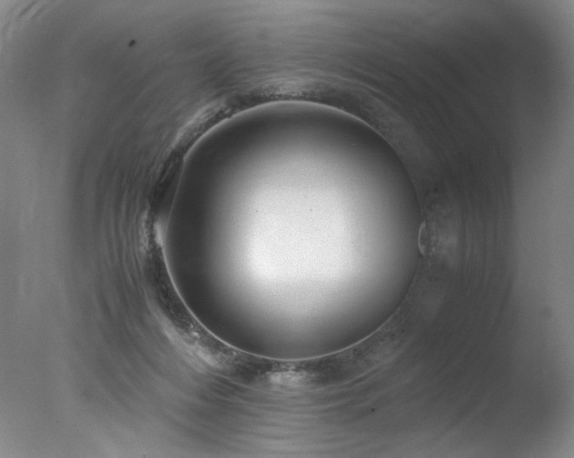 X0000078000216200610271145