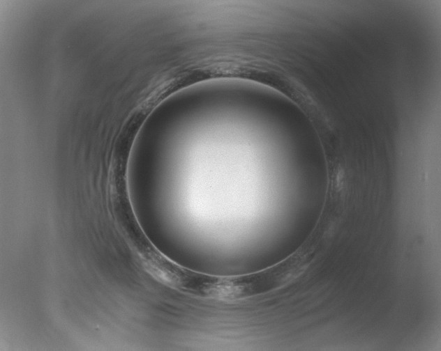 X0000078000217200610271145