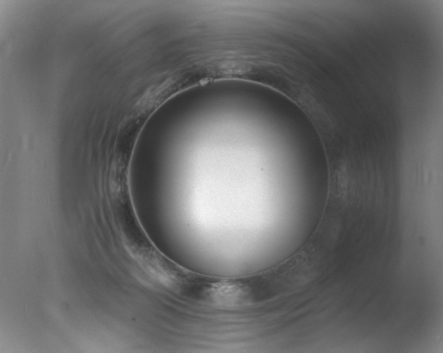 X0000078000218200610271145