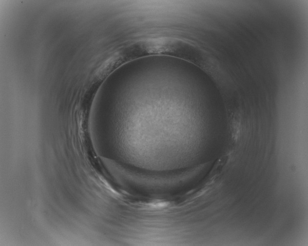 X0000078000219200610271145