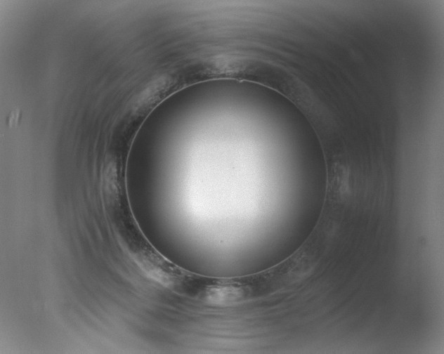 X0000078000220200610271145