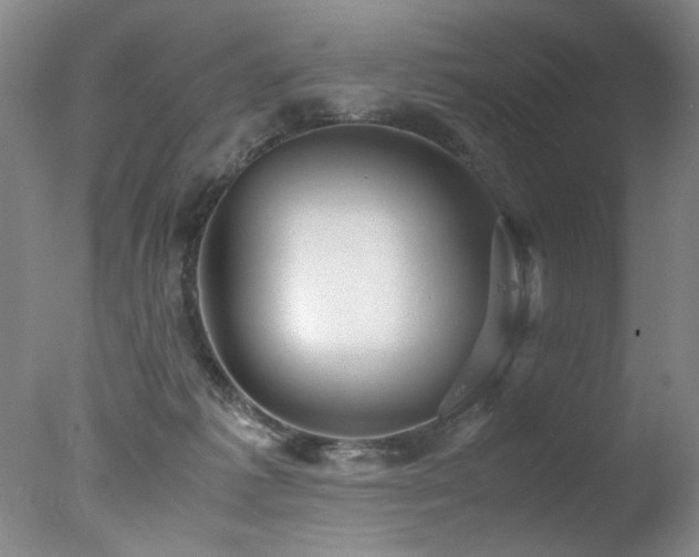 X0000078000221200610271145