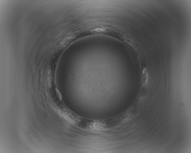 X0000078000223200610271145
