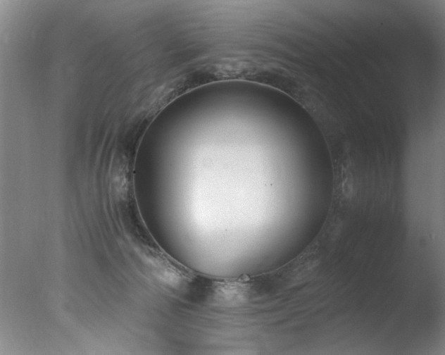 X0000078000226200610271145