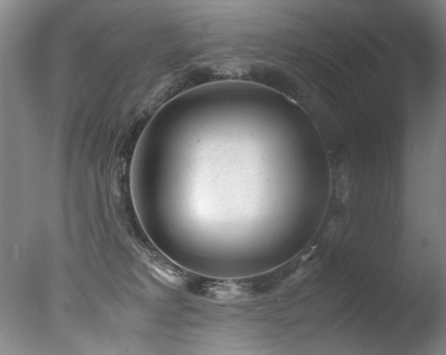X0000078000229200610271145