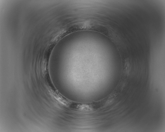 X0000078000230200610271145