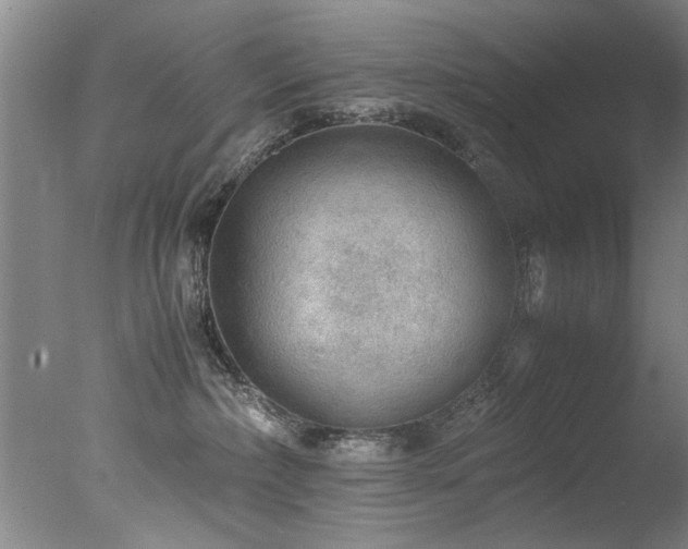 X0000078000236200610271144