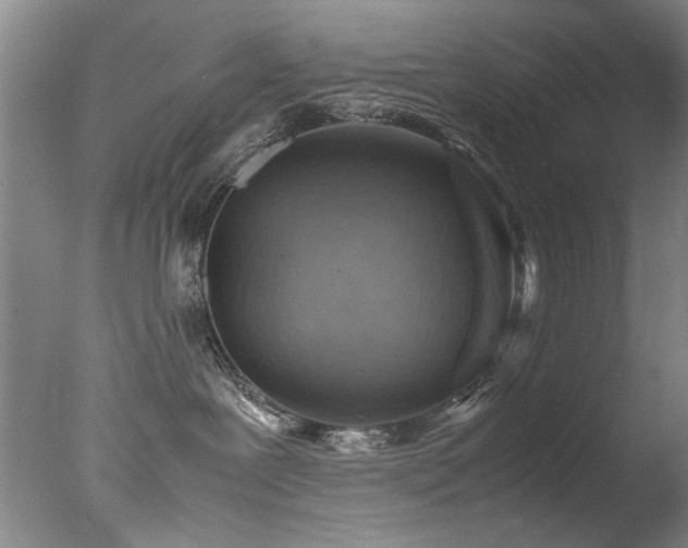 X0000078000239200610271144