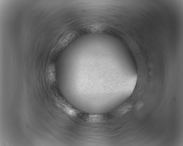 X0000078000240200610271144