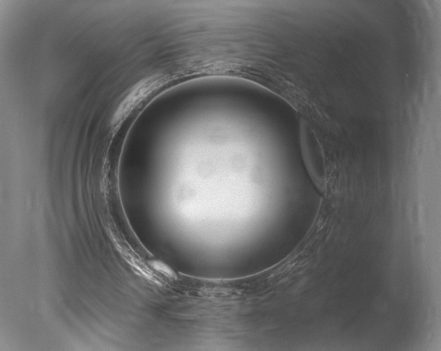 X0000078000242200610271144