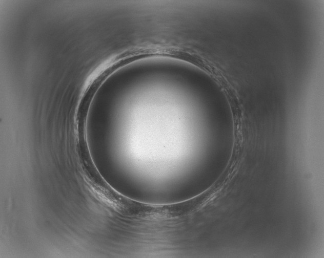 X0000078000246200610271144