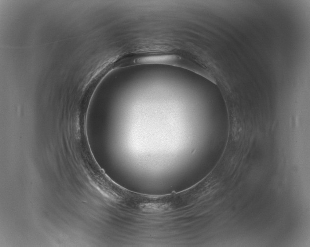 X0000078000251200610271144