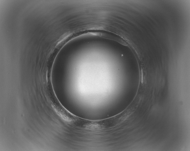 X0000078000253200610271144