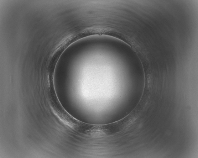 X0000078000254200610271144
