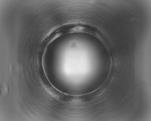 X0000078000256200610271144