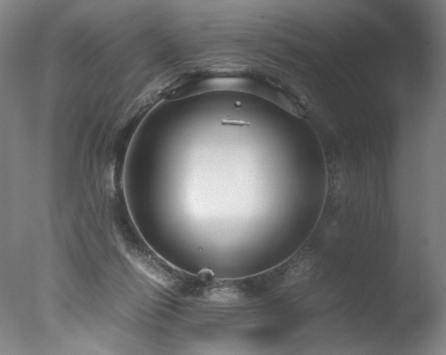 X0000078000262200610271144