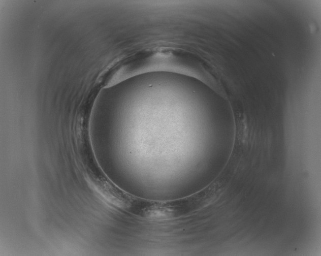X0000078000263200610271144