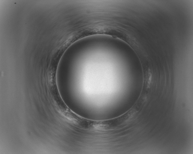 X0000078000268200610271144