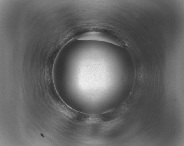 X0000078000270200610271144