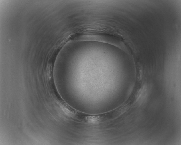 X0000078000273200610271144