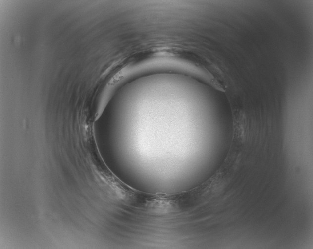 X0000078000276200610271144