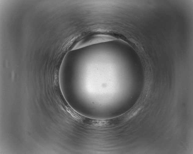 X0000078000288200610271144