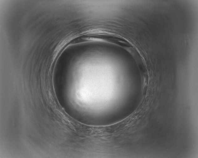 X0000078000289200610271144
