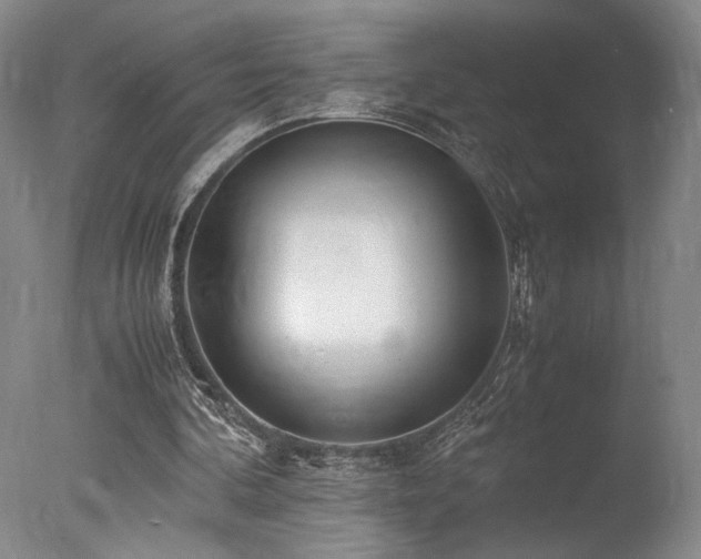 X0000078000292200610271143