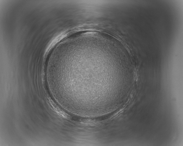 X0000078000293200610271143
