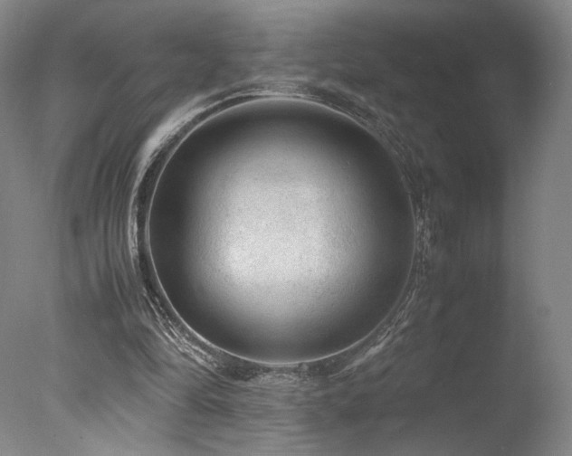 X0000078000294200610271143