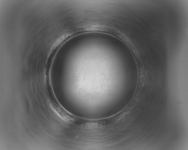 X0000078000298200610271143